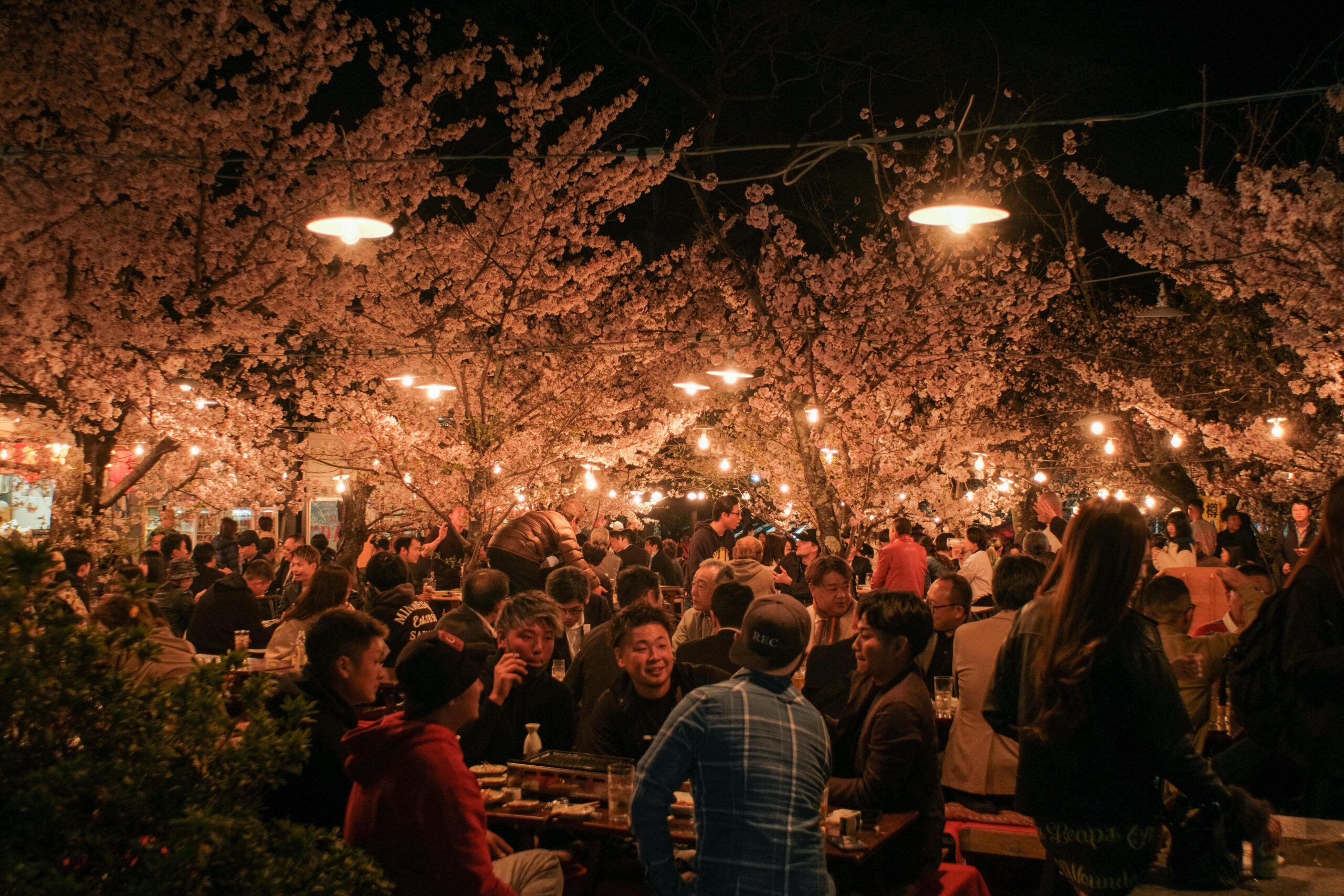 Hanami Etiquette in Japan: 10 Things Foreigners Need to Know
